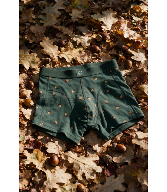 boxer Dark Green Acorn
