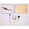 Creotime Bloemenpers 1x14,8x21cm