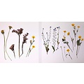 Creotime Bloemenpers 1x14,8x21cm