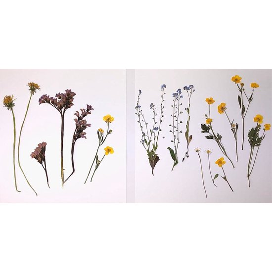 Creotime Bloemenpers 1x14,8x21cm