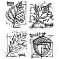 Tim Holtz Tim Holtz Cling Stamp Blueprint Autumn