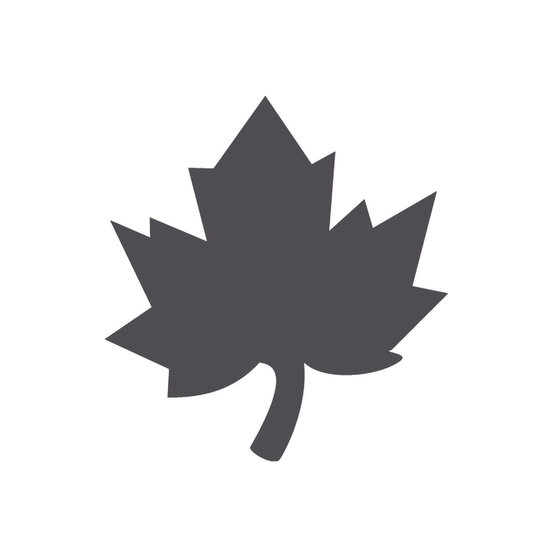 Vaessen Creative Vaessen Creative Figuurpons Small 5/8" - 1,5cm. Esdoornblad