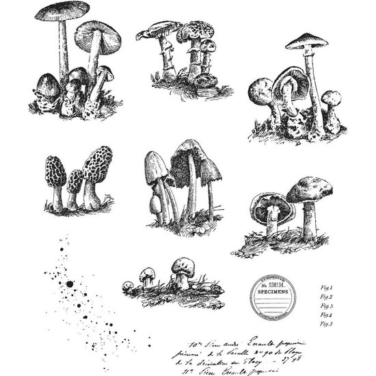 Tim Holtz Tim Holtz Cling Stamp Tiny Toadstools