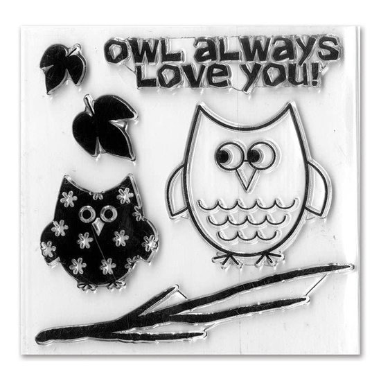 Sizzix Sizzix Framelits Die Set Stephanie Barnard Stamps Autumn Owls