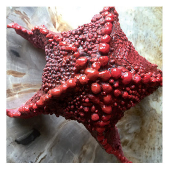 Powertex Powertex 3D Balls Small 230ml.