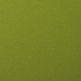 Florence Cardstock Olive Smooth A4 216g