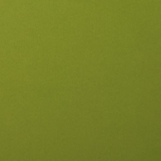 Florence Florence Cardstock Olive Smooth A4 216g