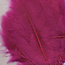 Hobby & Crafting Fun Veren Marabou Fuchsia 8,5-12,5cm 15st