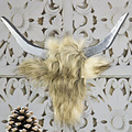Pronty Houten Deco Bull / Stier 377x280x18mm