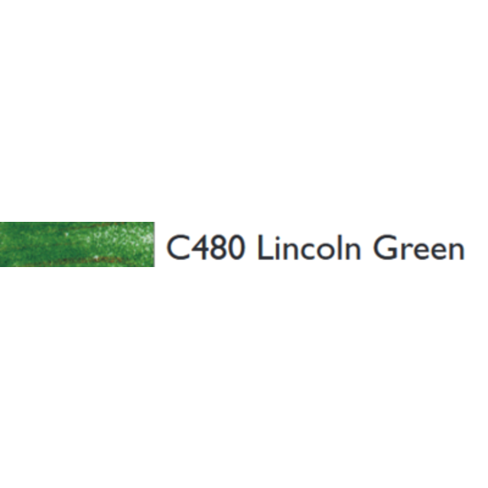 Derwent Derwent Coloursoft Potlood C480 Lincoln Green