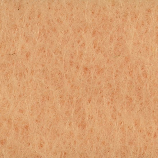 Vaessen Creative Viltlapje 20x30cm 1mm Zalm 200g