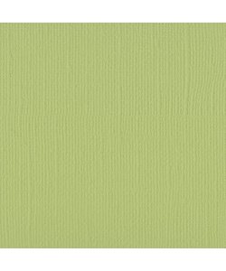 Florence Cardstock Anise Texture A4 216g