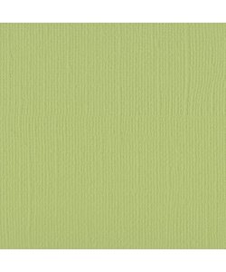 Florence Cardstock Anise Texture A4 216g