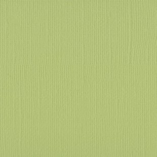 Florence Cardstock Anise Texture A4 216g