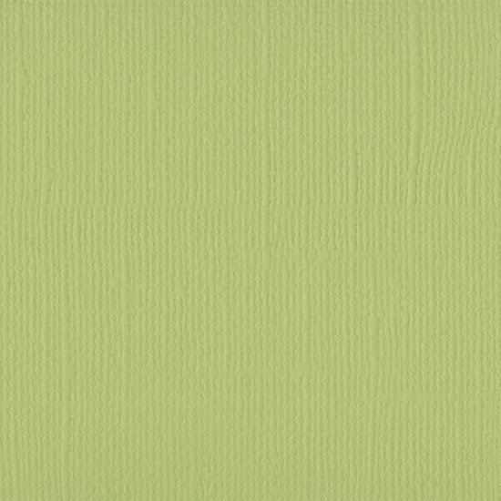 Florence Florence Cardstock Anise Texture A4 216g