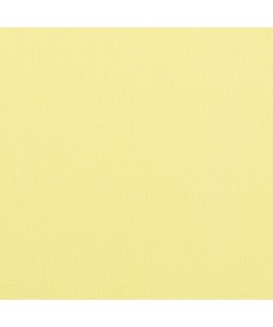 Florence Cardstock Asparagus Texture A4 216g