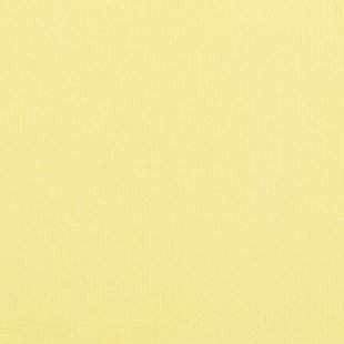 Florence Cardstock Asparagus Texture A4 216g