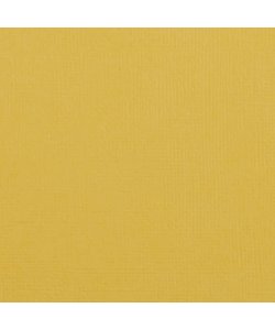 Florence Cardstock Bee Texture A4 216g