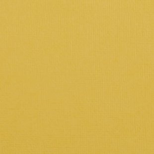 Florence Cardstock Bee Texture A4 216g