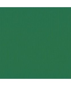 Florence Cardstock Broccoli Texture A4 216g