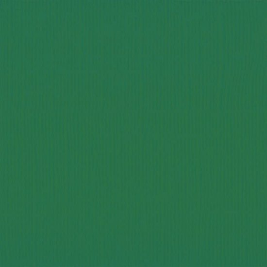 Florence Florence Cardstock Broccoli Texture A4 216g
