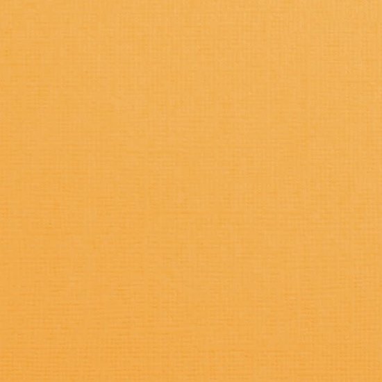 Florence Florence Cardstock Grapefruit Texture A4 216g