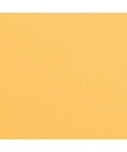 Florence Cardstock Honey Texture A4 216g