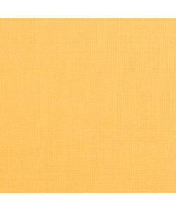 Florence Cardstock Honey Texture A4 216g