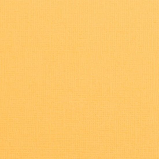 Florence Florence Cardstock Honey Texture A4 216g