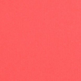 Florence Cardstock Kiss Texture A4 216g