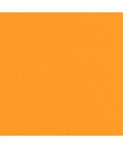 Florence Cardstock Mango Texture A4 216g
