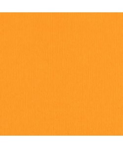 Florence Cardstock Mango Texture A4 216g