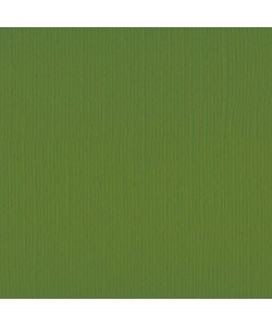 Florence Cardstock Olive Texture A4 216g