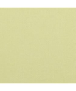 Florence Cardstock Pudding Texture A4 216g