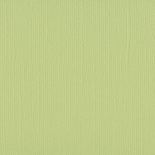 Florence Cardstock Anise Texture 12x12'' 216g