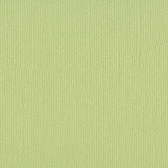 Florence Florence Cardstock Anise Texture 12x12'' 216g