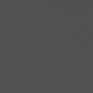 Florence Cardstock Anthracite Texture 12x12'' 216g