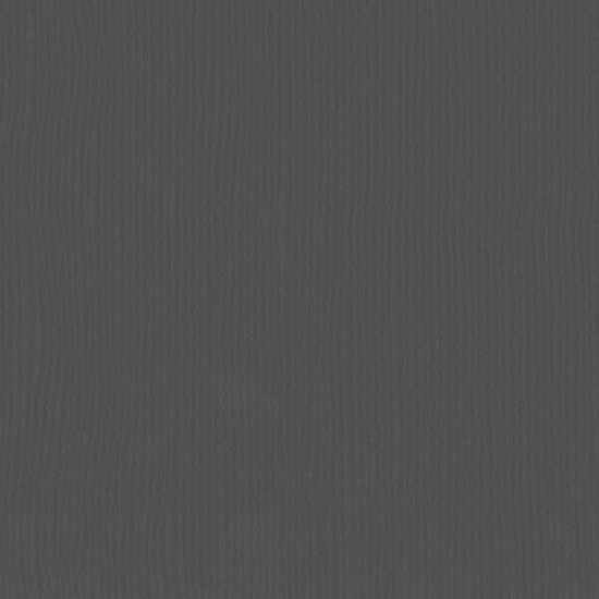 Florence Florence Cardstock Anthracite Texture 12x12'' 216g