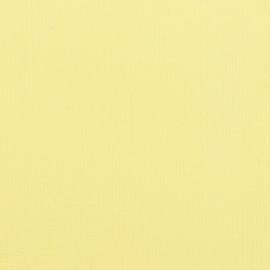 Florence Florence Cardstock Asparagus Texture 12x12'' 216g