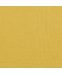 Florence Cardstock Bee Texture 12x12'' 216g