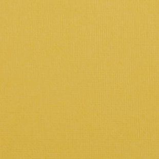 Florence Cardstock Bee Texture 12x12'' 216g