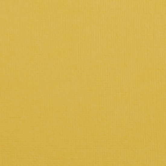 Florence Florence Cardstock Bee Texture 12x12'' 216g