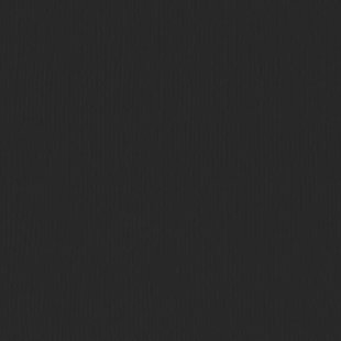 Florence Cardstock Black Texture 12x12'' 216g