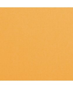 Florence Cardstock Grapefruit Texture 12x12'' 216g