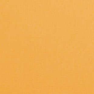 Florence Cardstock Grapefruit Texture 12x12'' 216g
