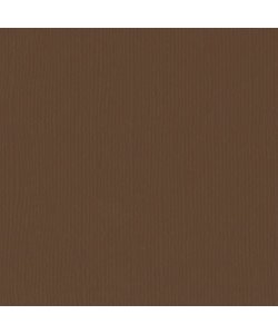 Florence Cardstock Hazelnut Texture 12x12'' 216g