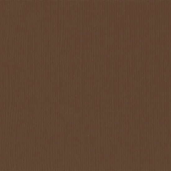 Florence Florence Cardstock Hazelnut Texture 12x12'' 216g