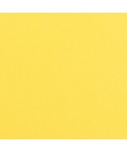 Florence Cardstock Lemon Yell Texture 12x12'' 216g