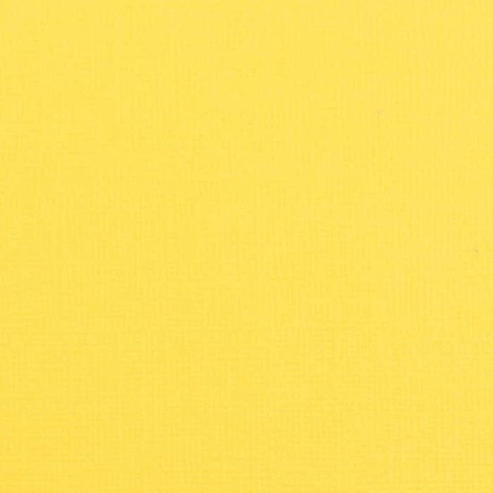 Florence Florence Cardstock Lemon Yell Texture 12x12'' 216g