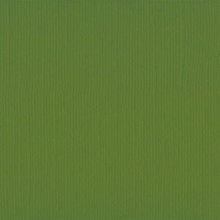 Florence Cardstock Olive Texture 12x12'' 216g
